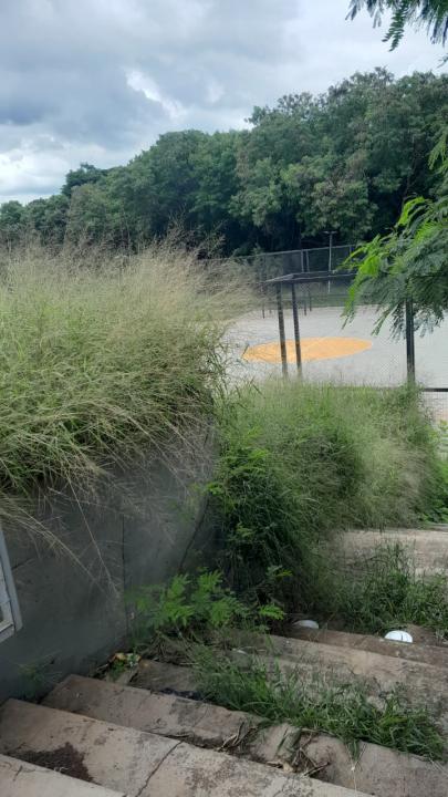 Foto 2 de 16 — Praça do Selmi Dei fica mais de 5 meses sem limpeza e moradores relatam aparecimento de cobras